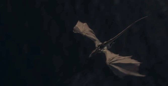 Rhaenys on the back of Meleys flying over water