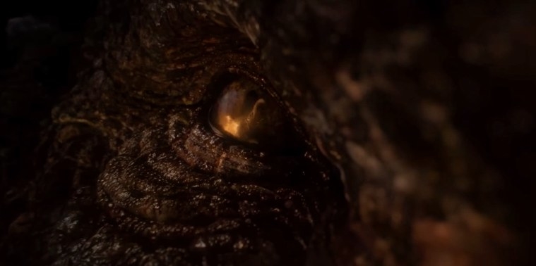 Close-up of a dragon eye.