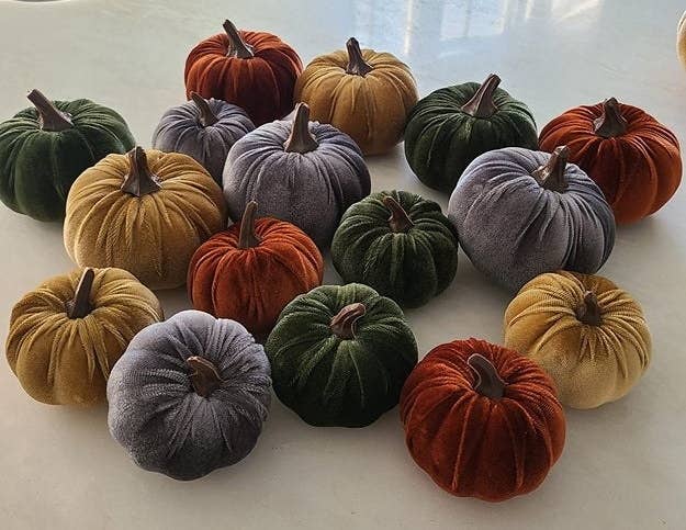 reviewer&#x27;s photo of the pumpkins