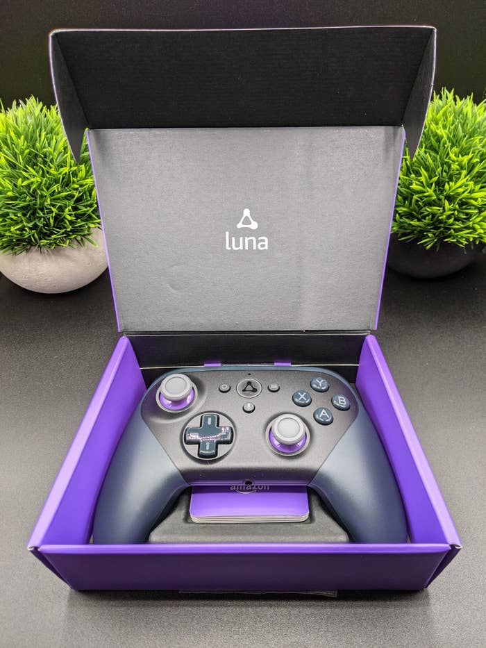 a reviewer&#x27;s luna controller in the box