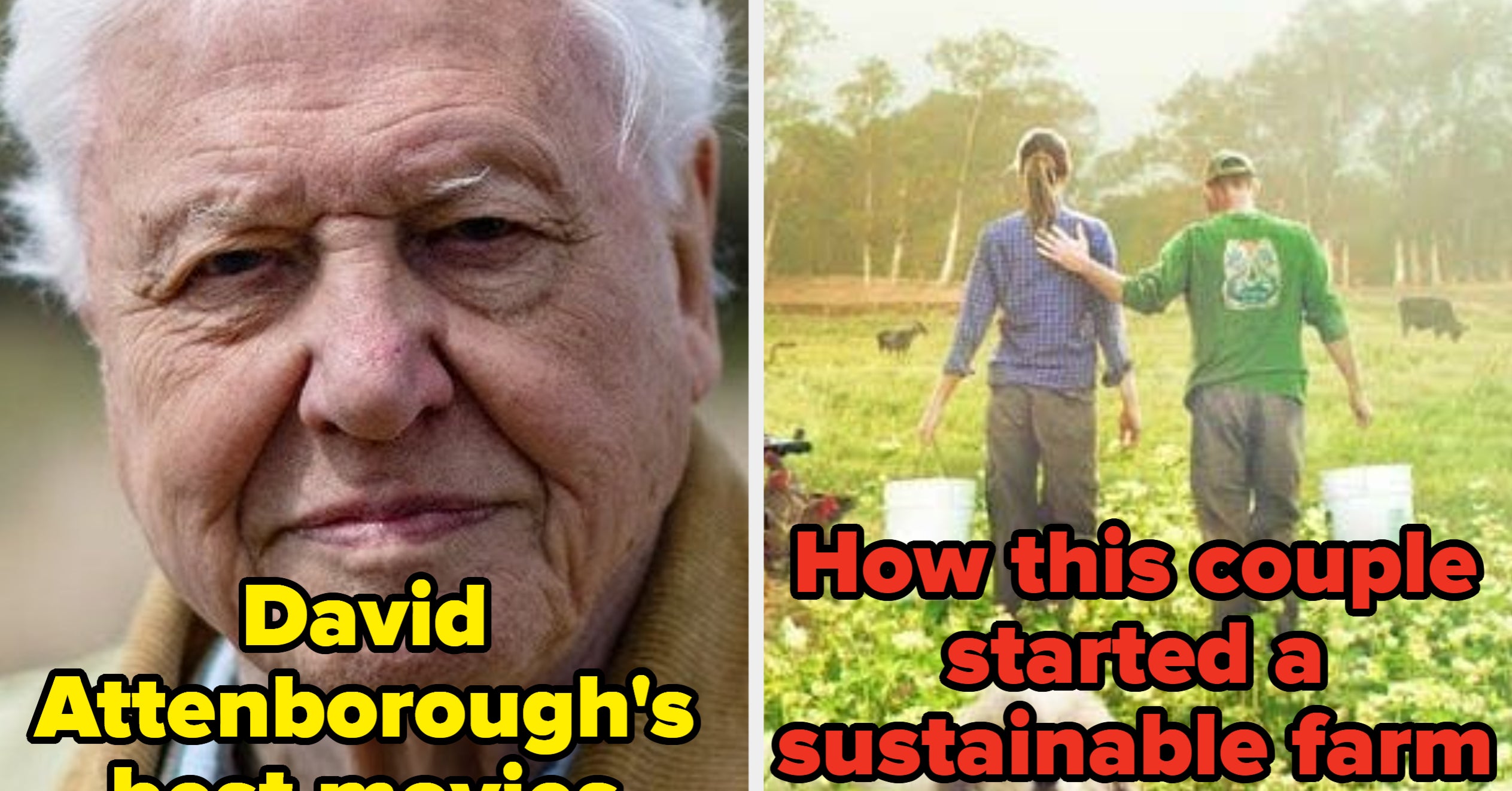 23 Documentaries You Can Watch About Saving The Planet