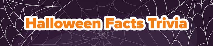 Cobwebs with the text &quot;Halloween Facts Trivia&quot;