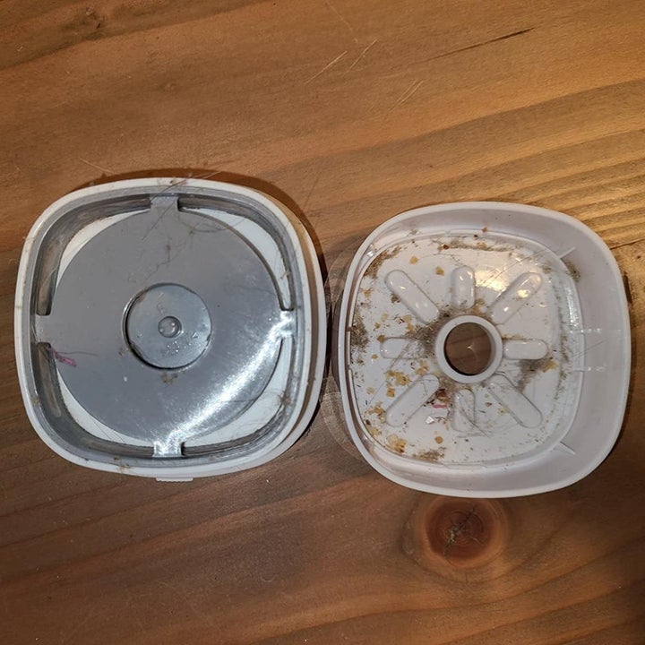 The inside of the vacuum showing how much it picked up