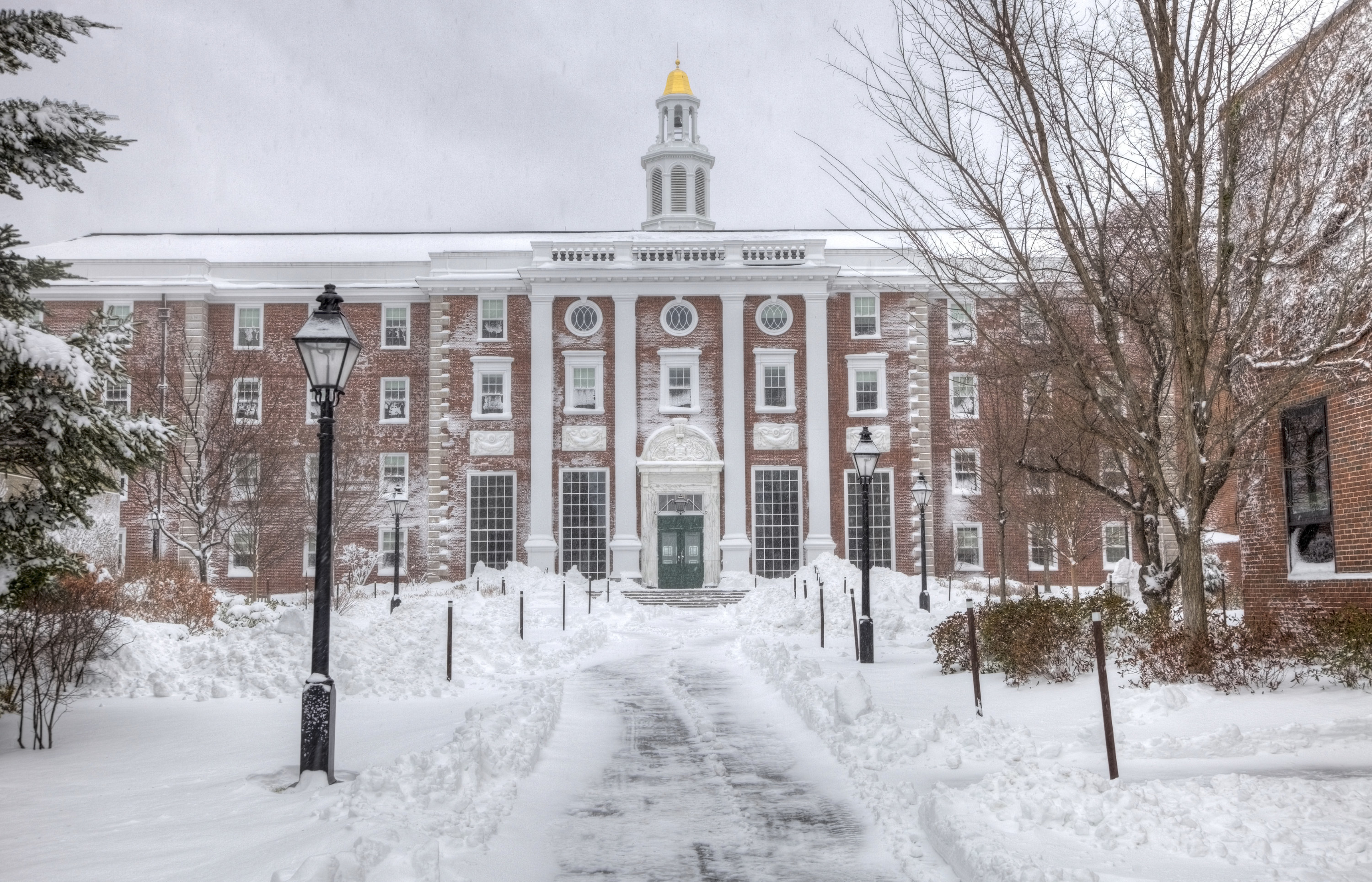 Harvard campus covered in snow