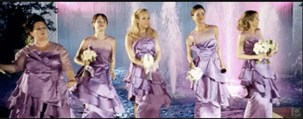 a scene from the movie &quot;bridesmaids&quot;