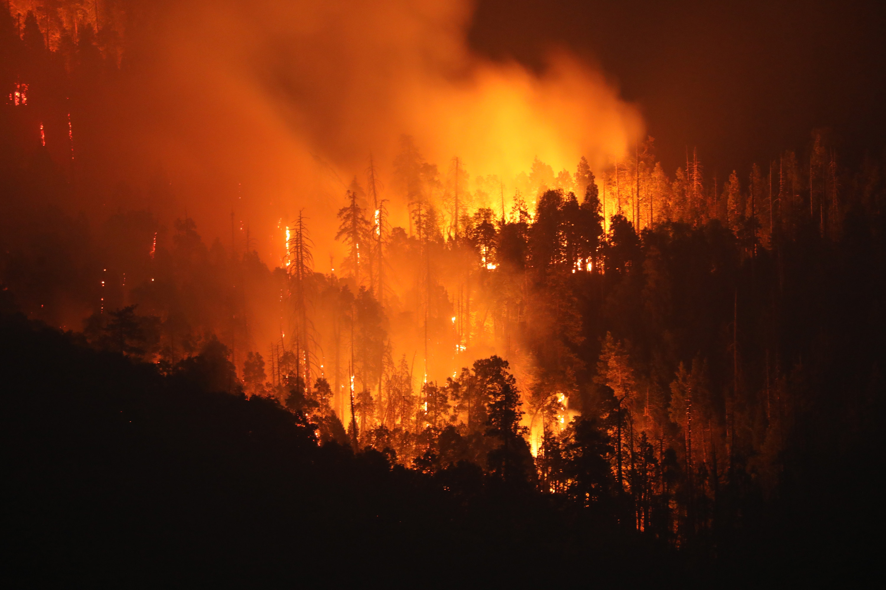 Burning trees from wildfires and smoke cover the landscape in California, U.S