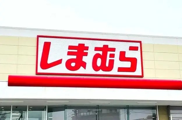 これが1089円ってコスパおかしいよ…！しまむらの「高見えトップス