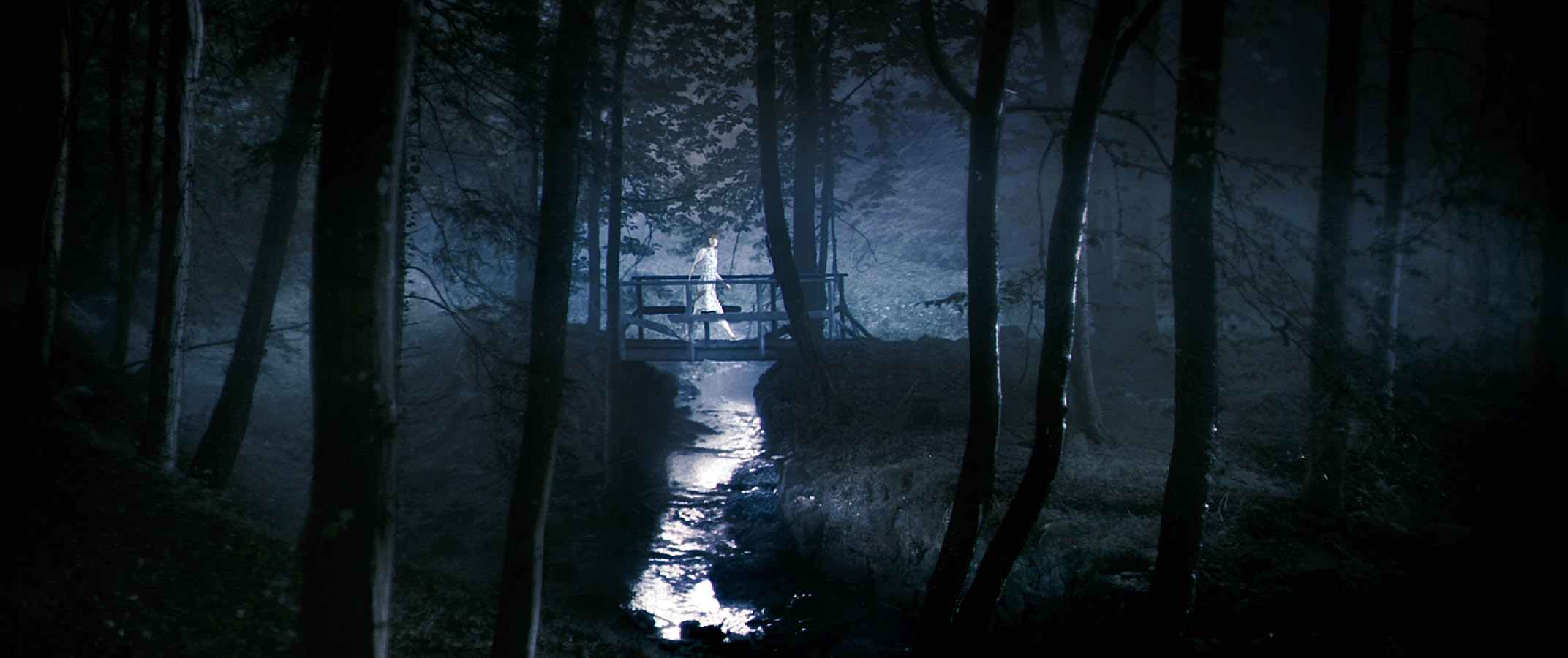 A woman crosses a bridge in the woods
