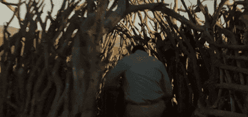 Idris Elba running through branches in Beast