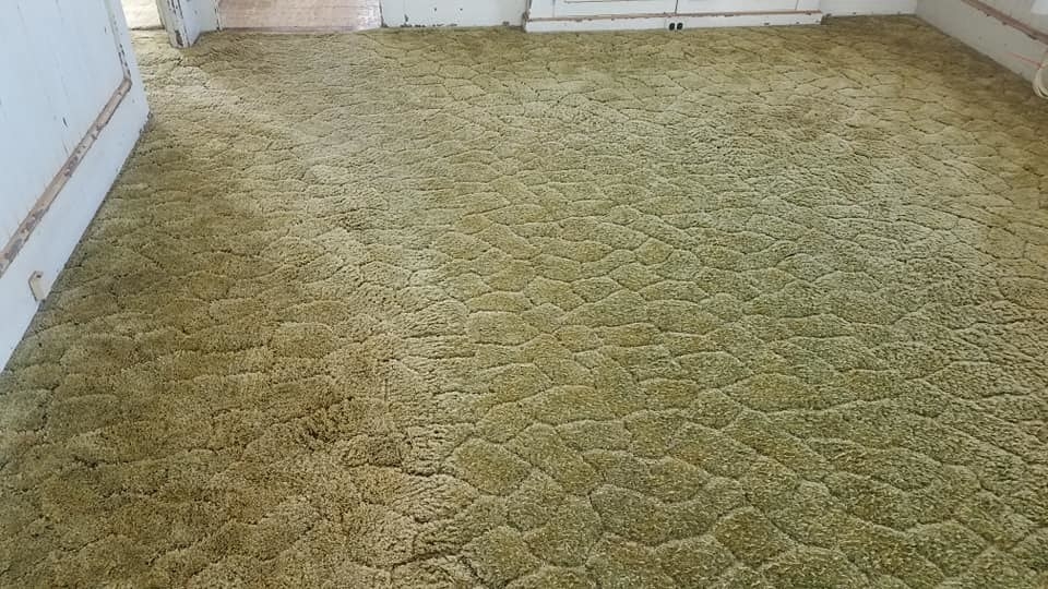 carpet with a sewn-in pattern