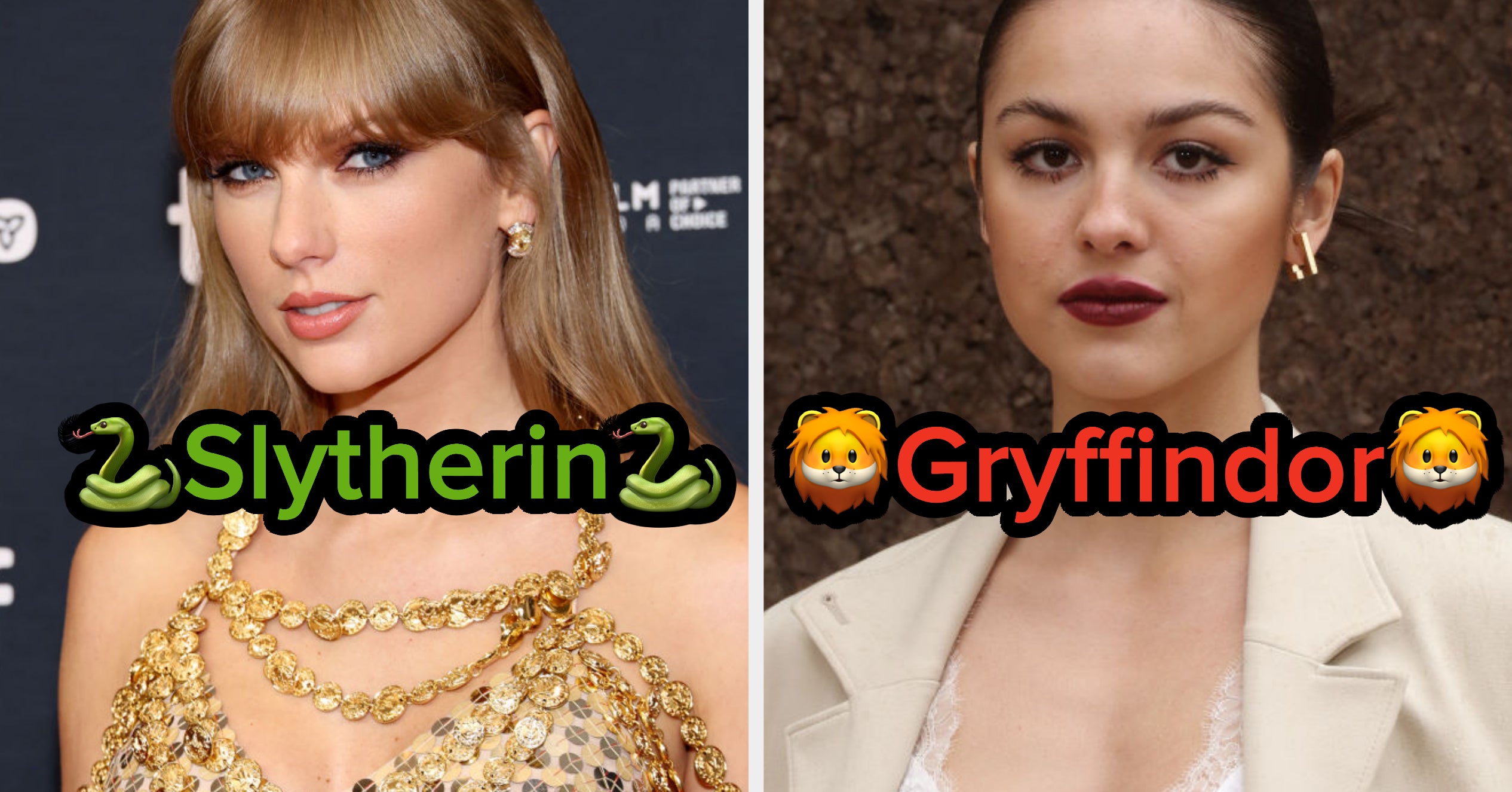 Sort These Singers Into Their True Hogwarts House