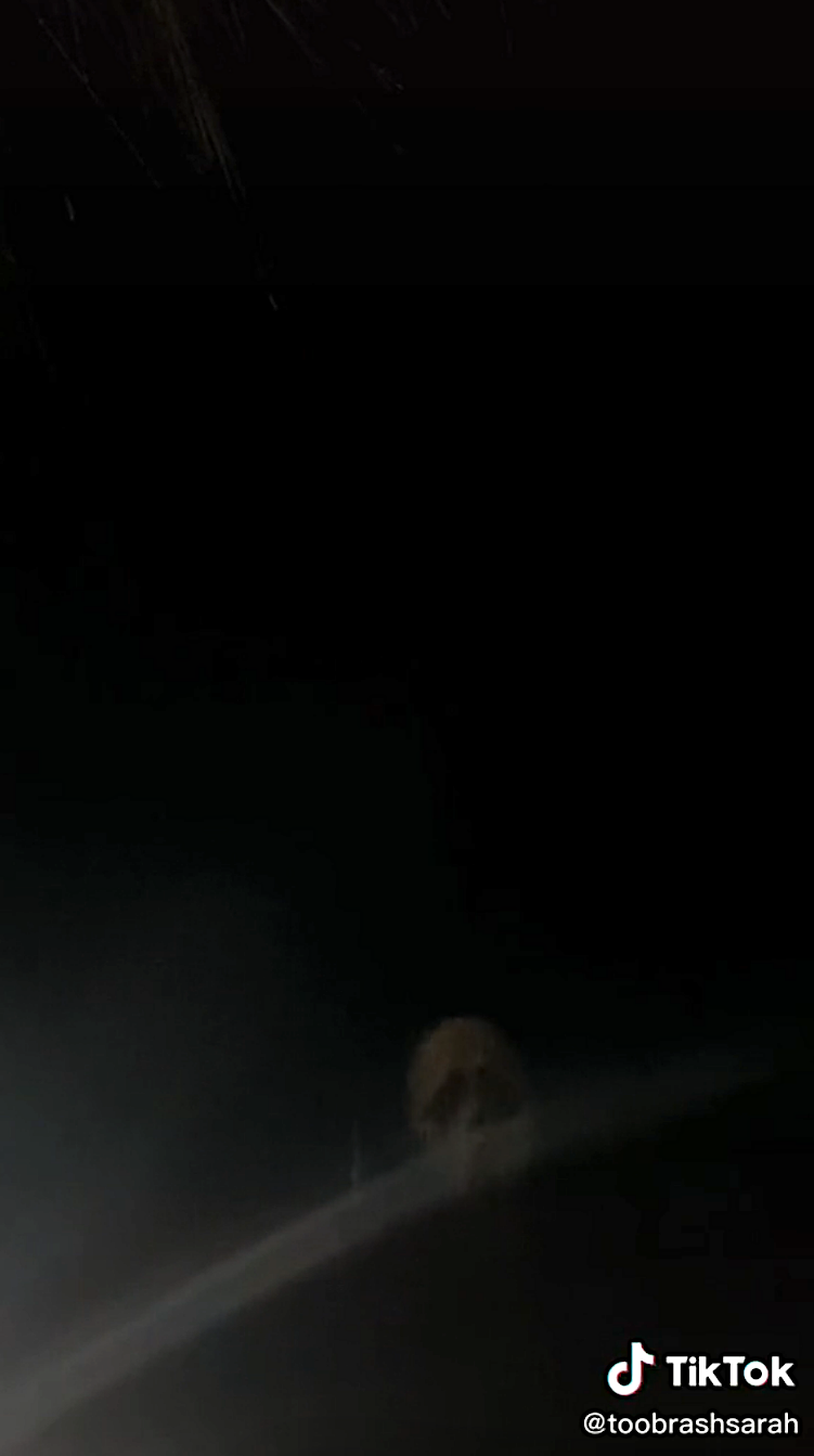 Screenshot of Ghostface in a TikTok video