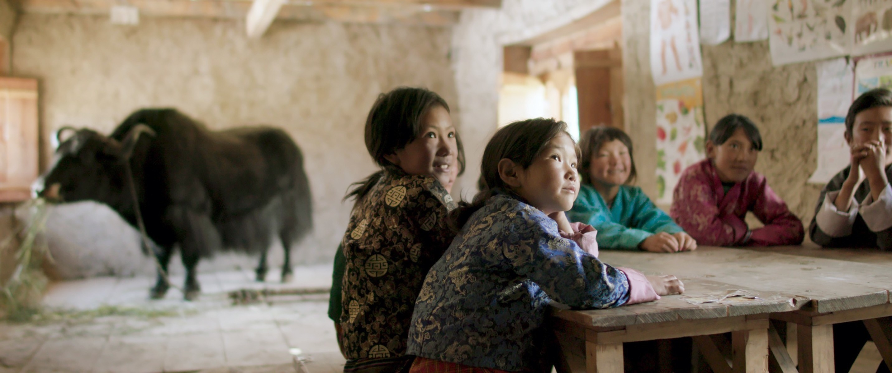 A group of students sit at a table with a yak behind them