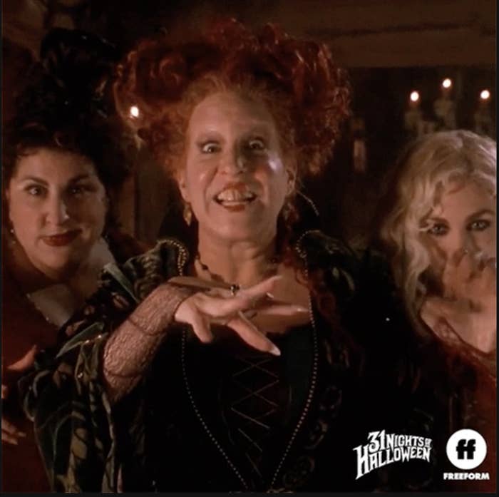 The three Sanderson sisters