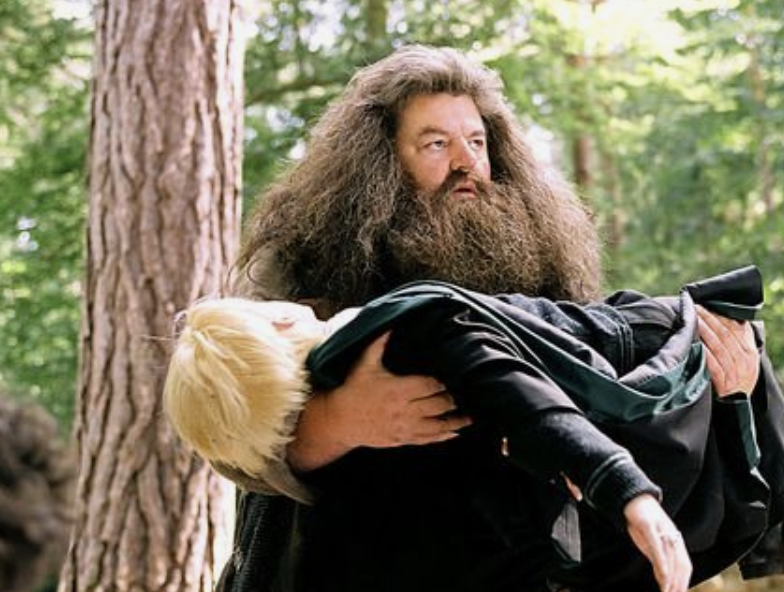 Hagrid carrying an unconscious Malfoy