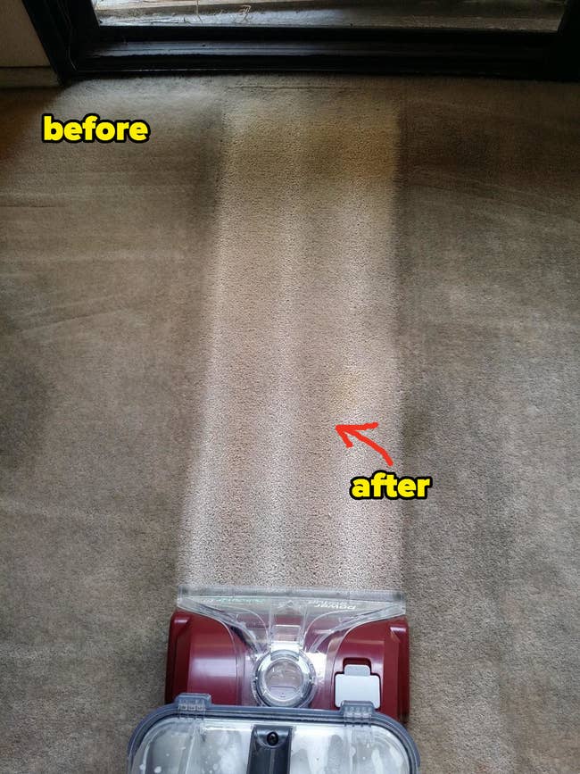 A dirty carpet with one clean strip where the vacuum has gone over it 