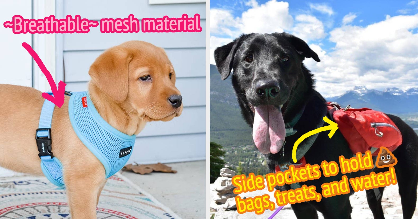  HDP Car Harness Dog Safety Seat Belt Gear Travel System  Color:Black : Pet Automotive Harnesses : Pet Supplies
