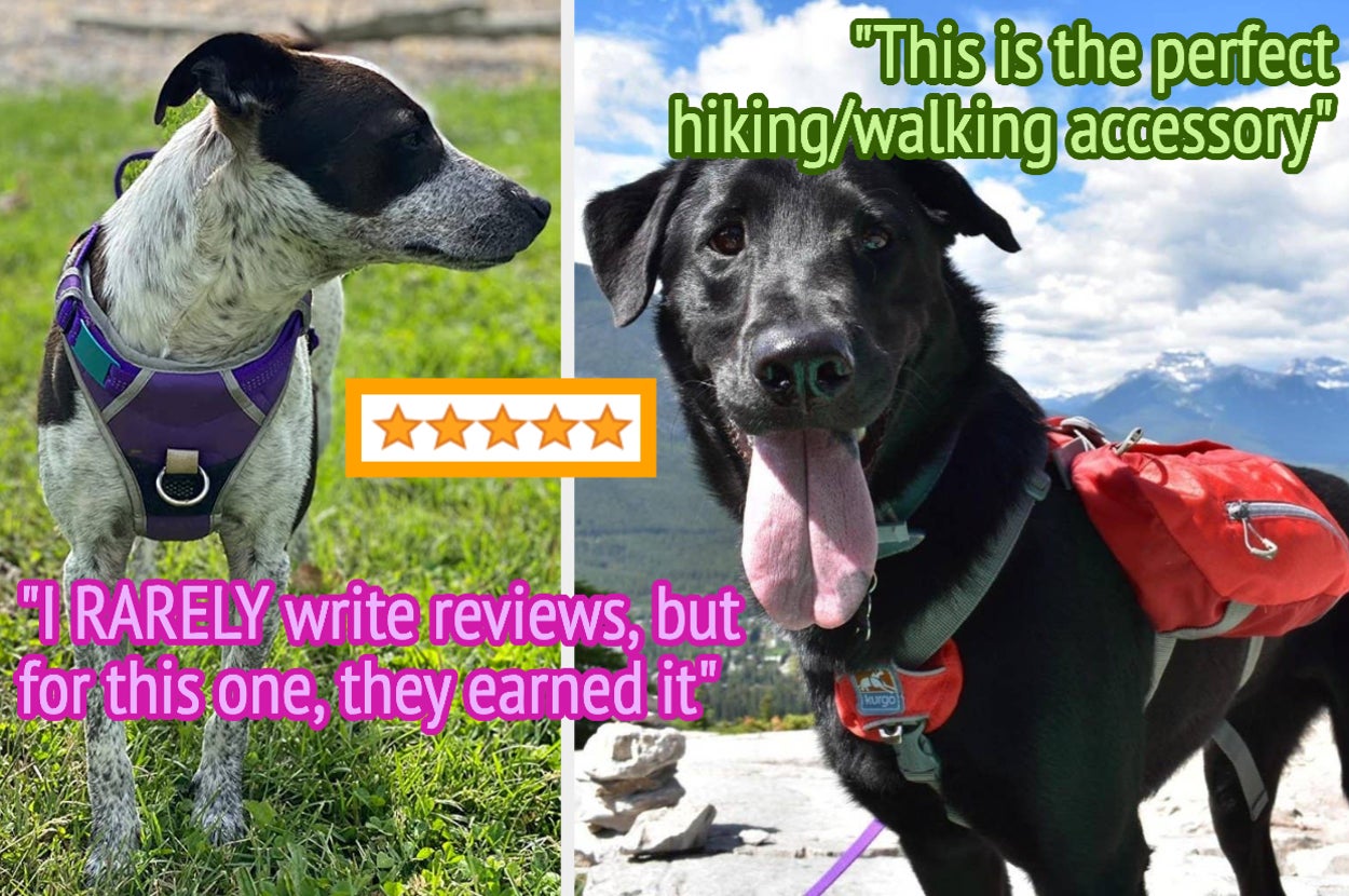 Reviewer image of small dog in purple harness with front metal loop on grass, reviewer image of big black dog in red and gray harness with side backpacks on top of mountain