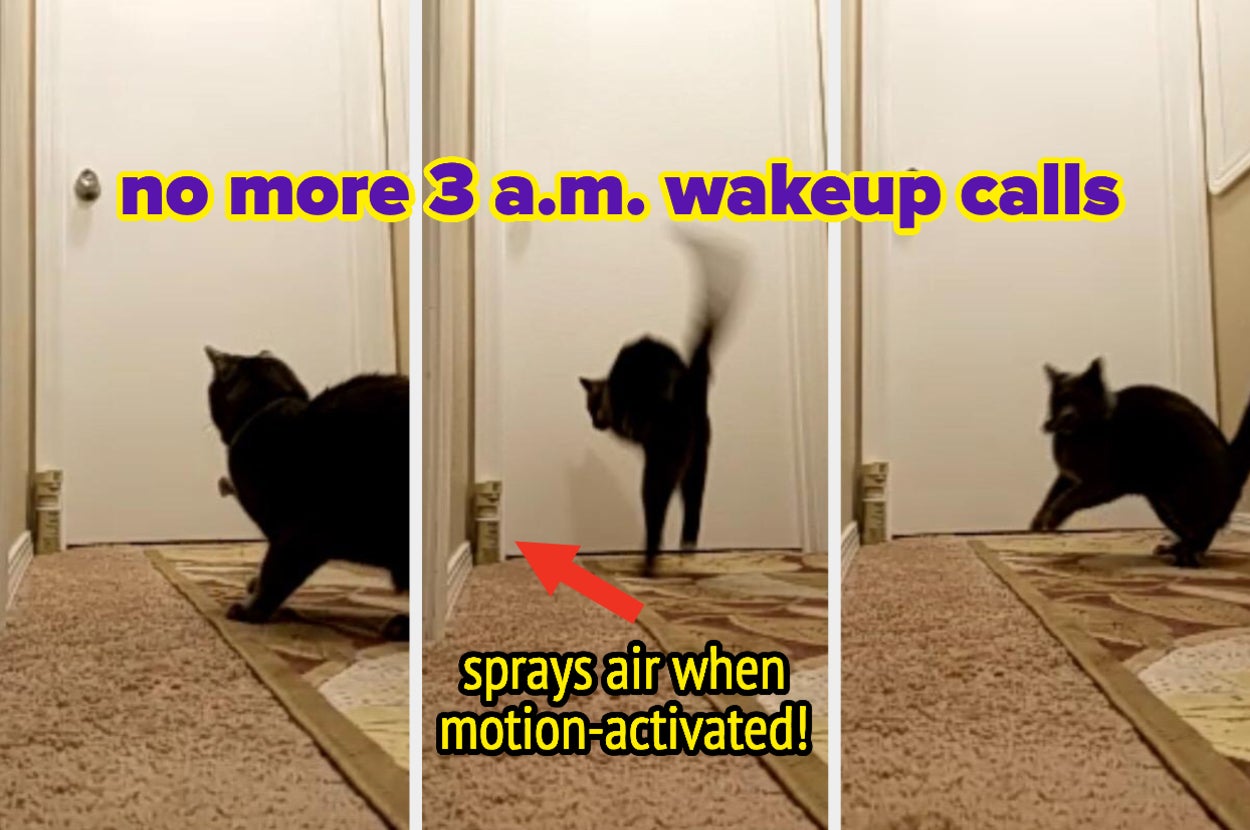 three panels of a cat looking at, then being scared off by a motion activated spray deterrent