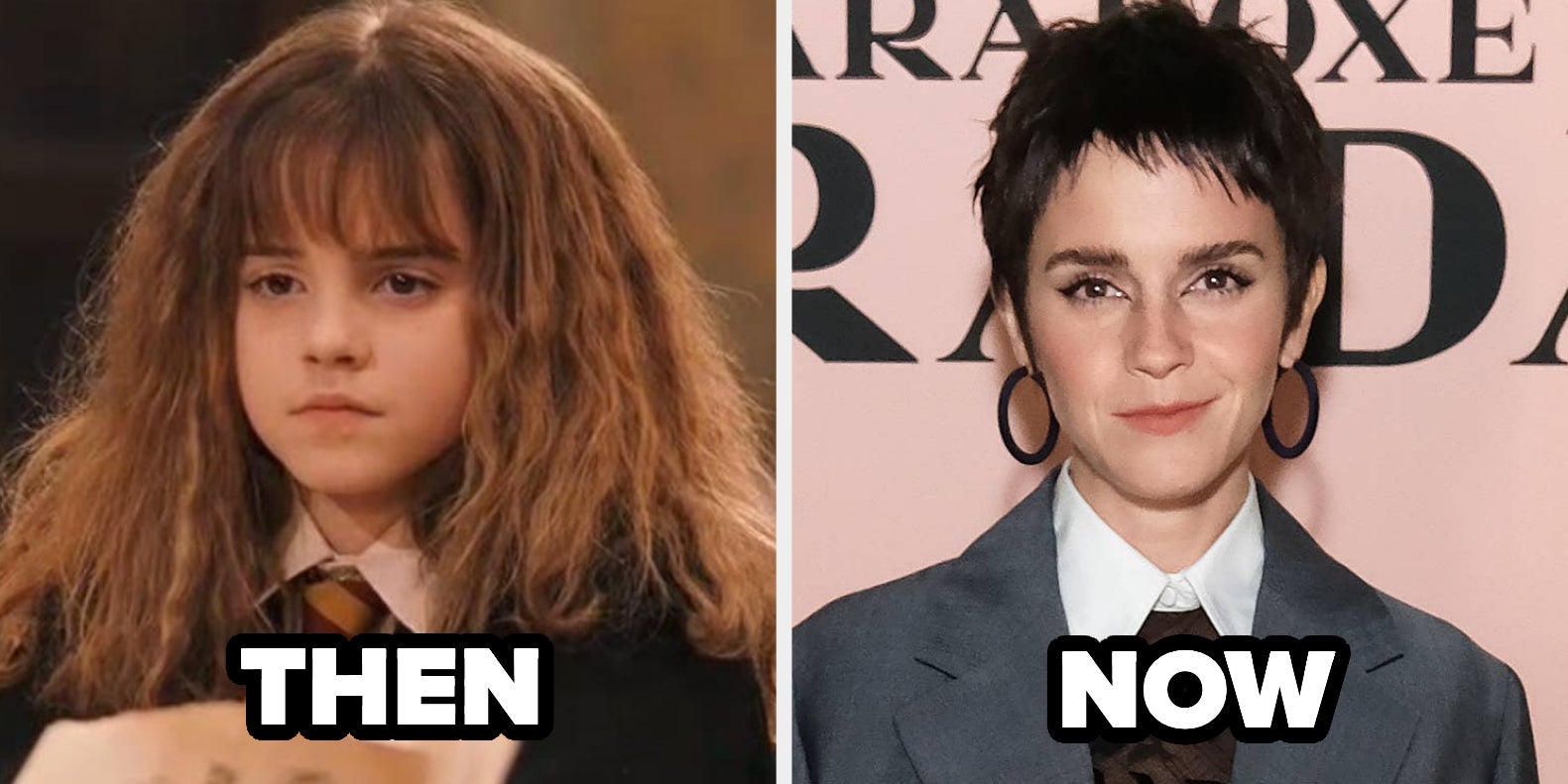 dudley harry potter then and now