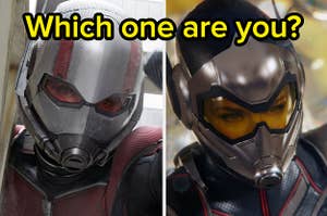 "Which one are you?" is written over the Wasp and Ant-Man