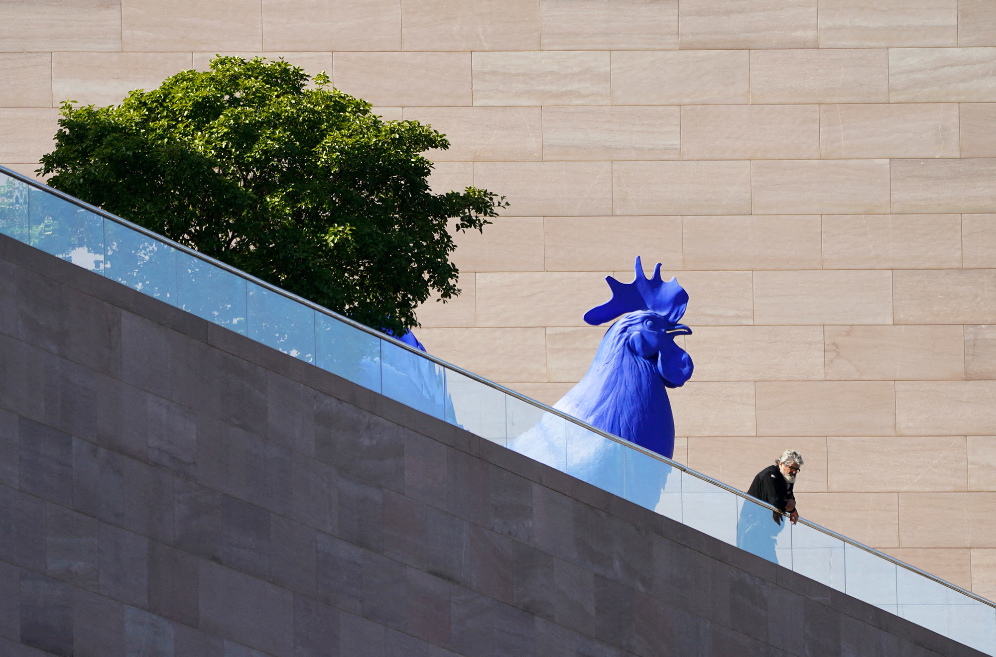 in the foreground, a slanted walkway with a man looking over the railing. in the background, a huge blue rooster sculpture and green treetop