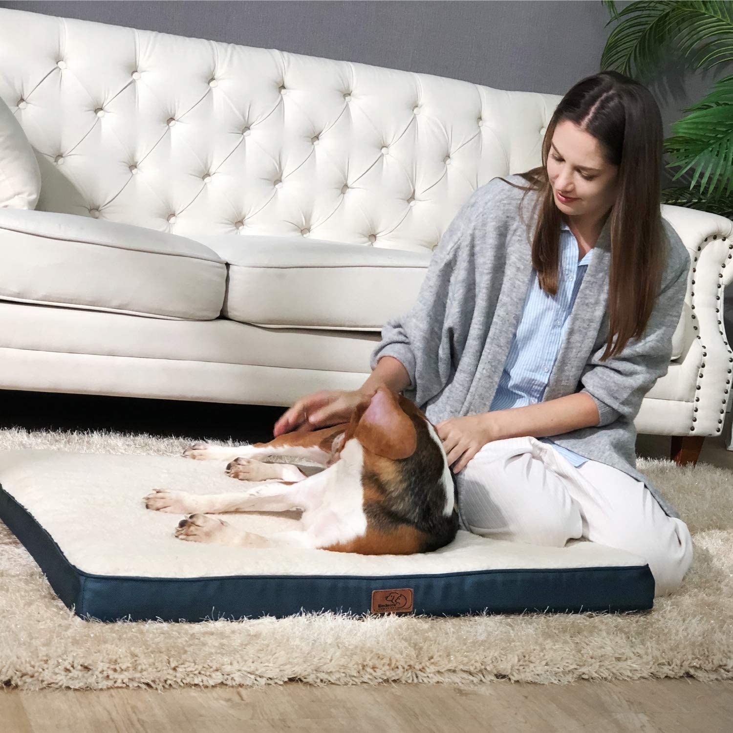 a person with a dog lying on the dog bed
