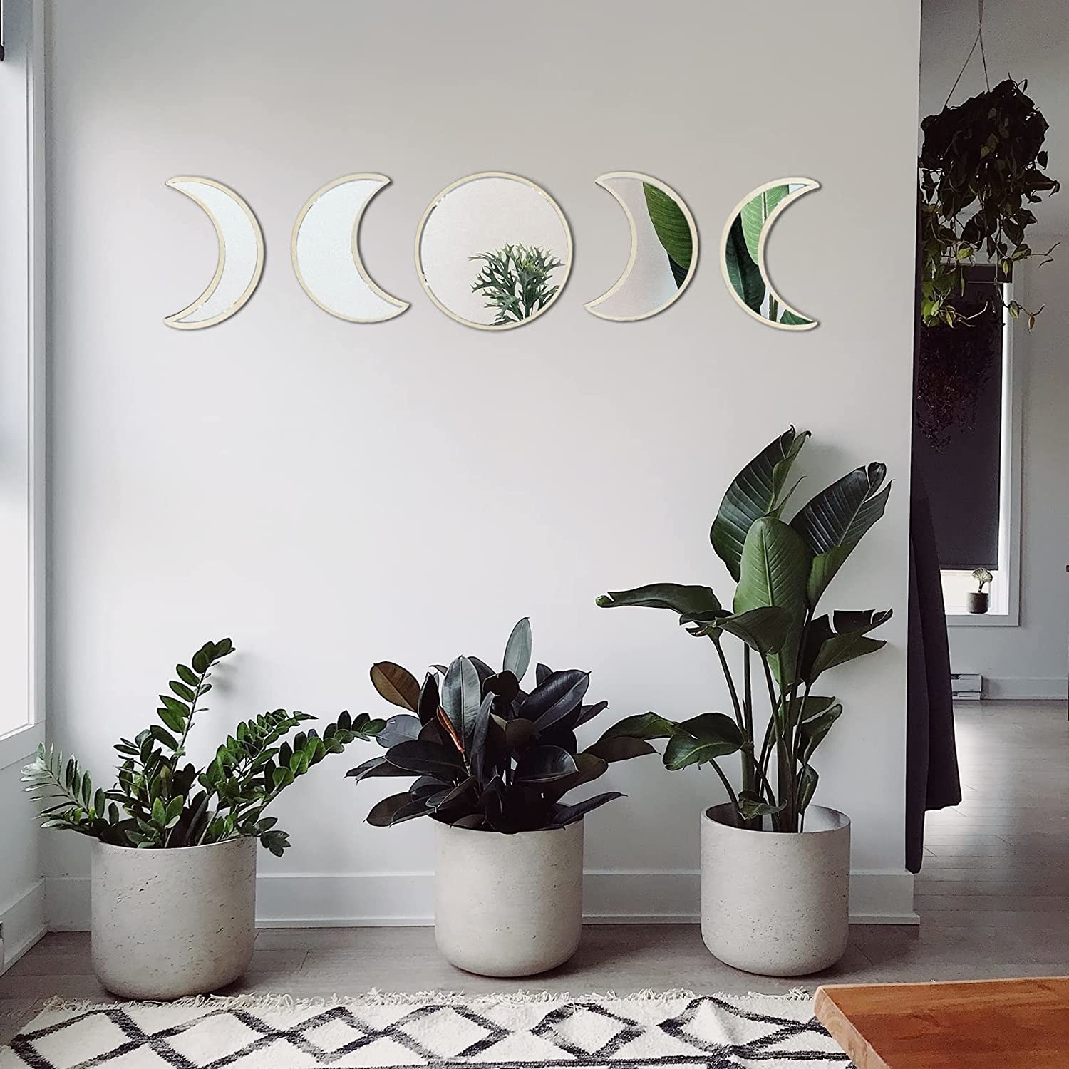 the mirrors hanging on a wall over three potted plants