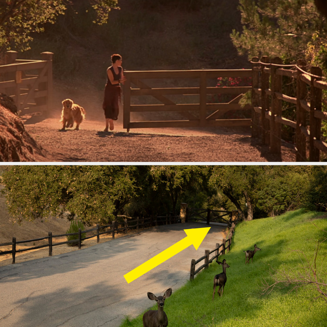 sidney opening the gate with her dog in scream 3 with an image of the same gate, surrounded by deer, in the airbnb listing