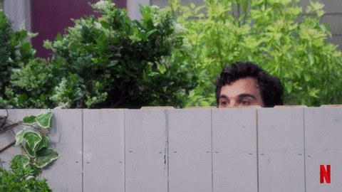 nosy neighbor peeking over a fence