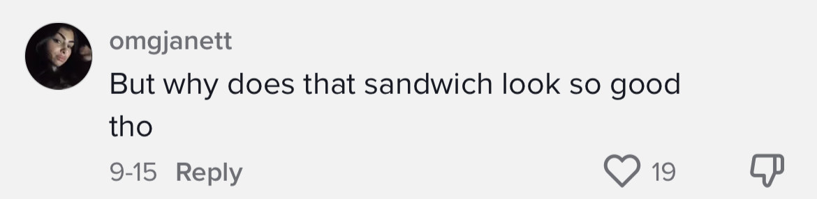 One person commented, &quot;But why does that sandwich look so good tho&quot;