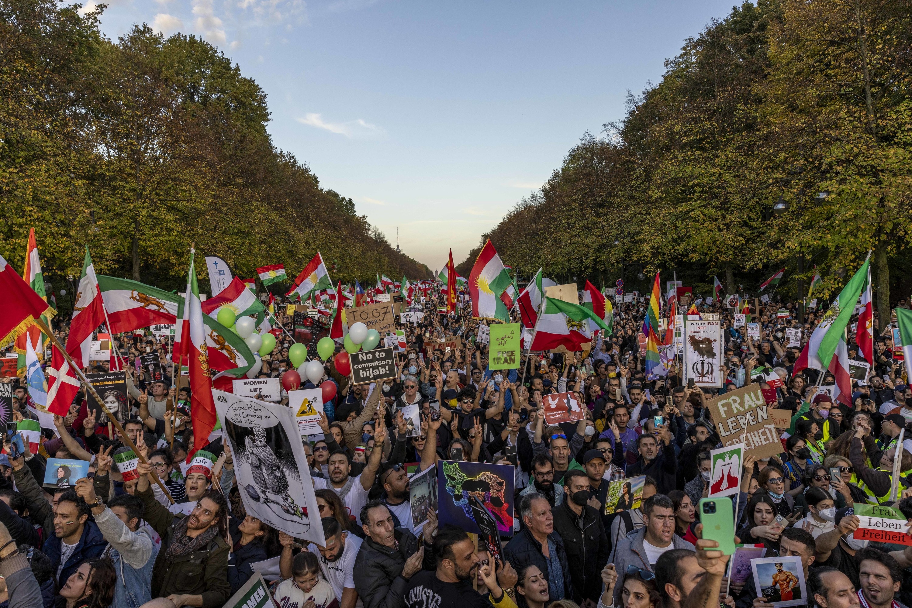 Protestors wave Iranian flags at a protest in Berlin.