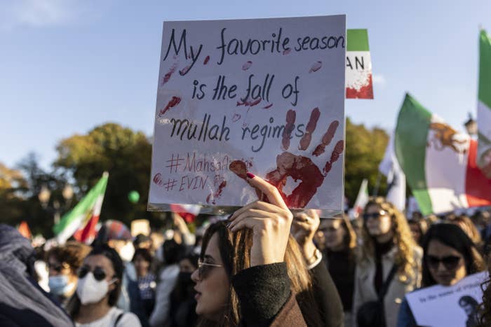 A protestor&#x27;s sign reads &quot;my favorite season is the fall of mullah regimes.&quot;