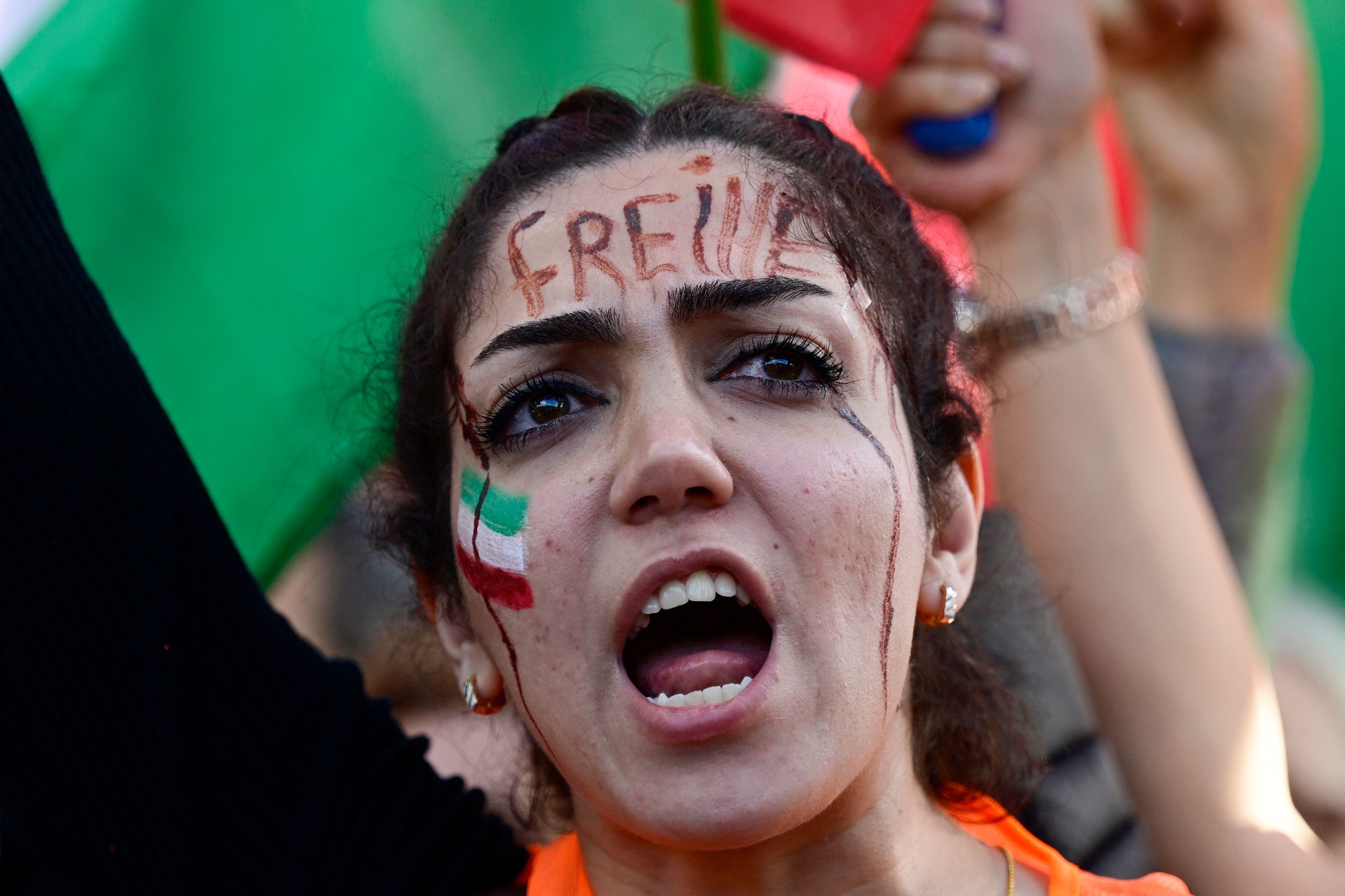 A protester with the word &quot;freedom&quot; written on her forehead in German and the Iranian flag painted on her cheeks.