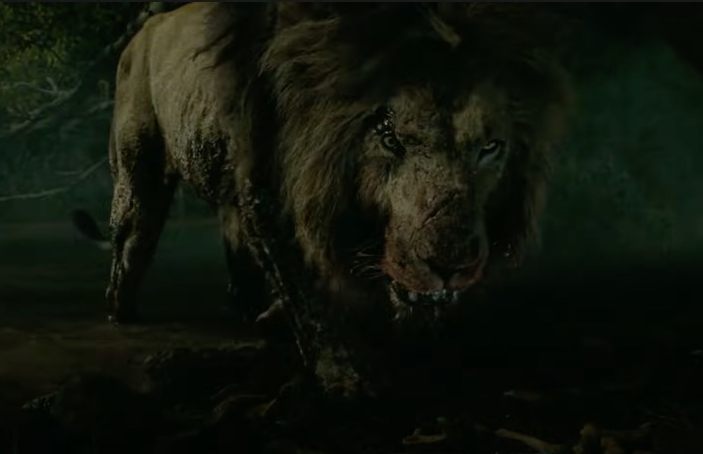 The rogue lion in Beast, CGI created