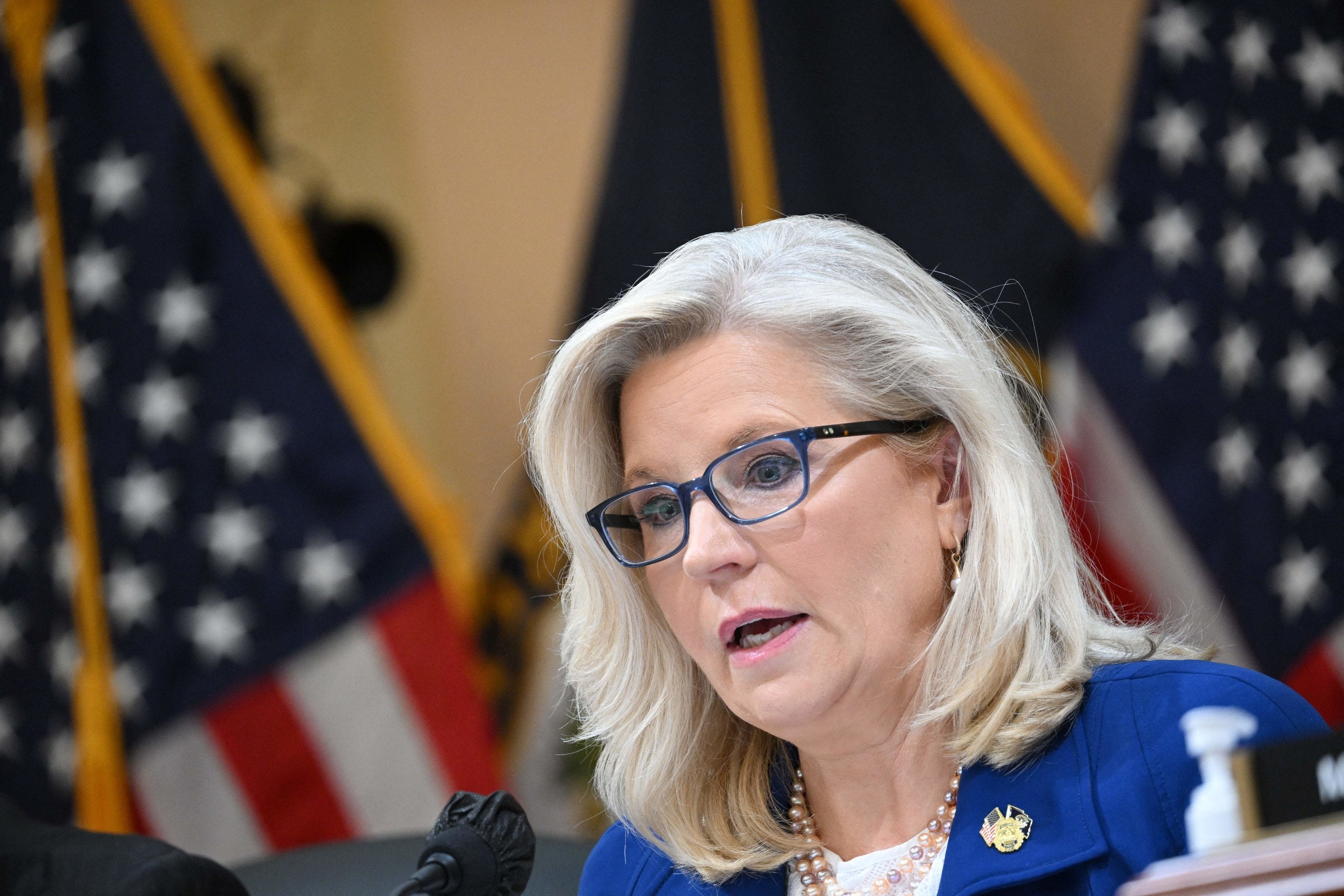 Liz Cheney Said On Meet The Press That Donald Trump Can't Turn Jan. 6 ...