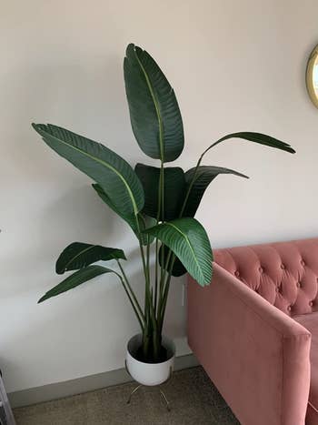 Reviewer's faux bird of paradise is shown in a living room