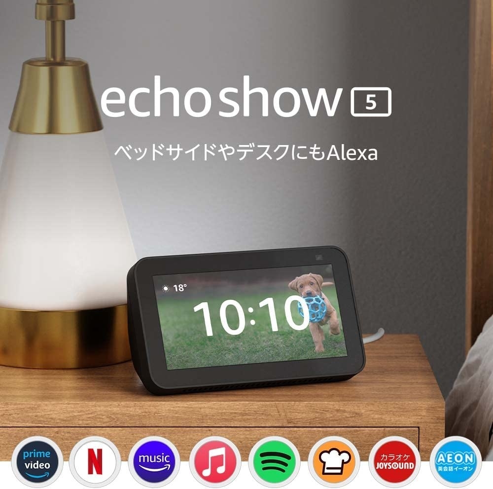                         Echo Show - 19