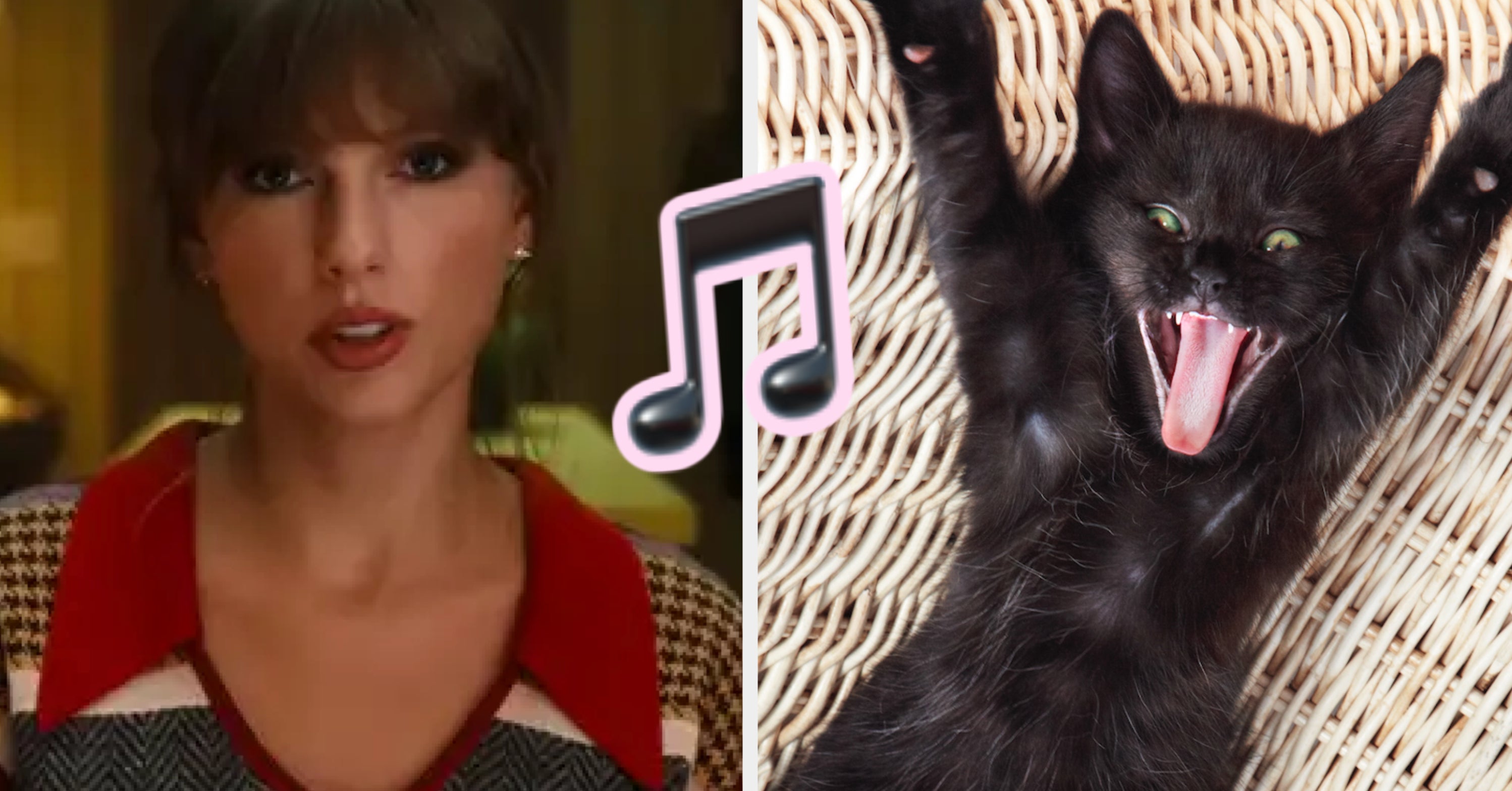 This Animal Quiz Will Reveal Which Taylor Swift Album You Are