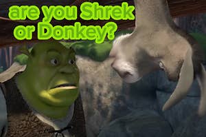 Shrek and Donkey face each other and labeled, "are you Shrek or Donkey?"