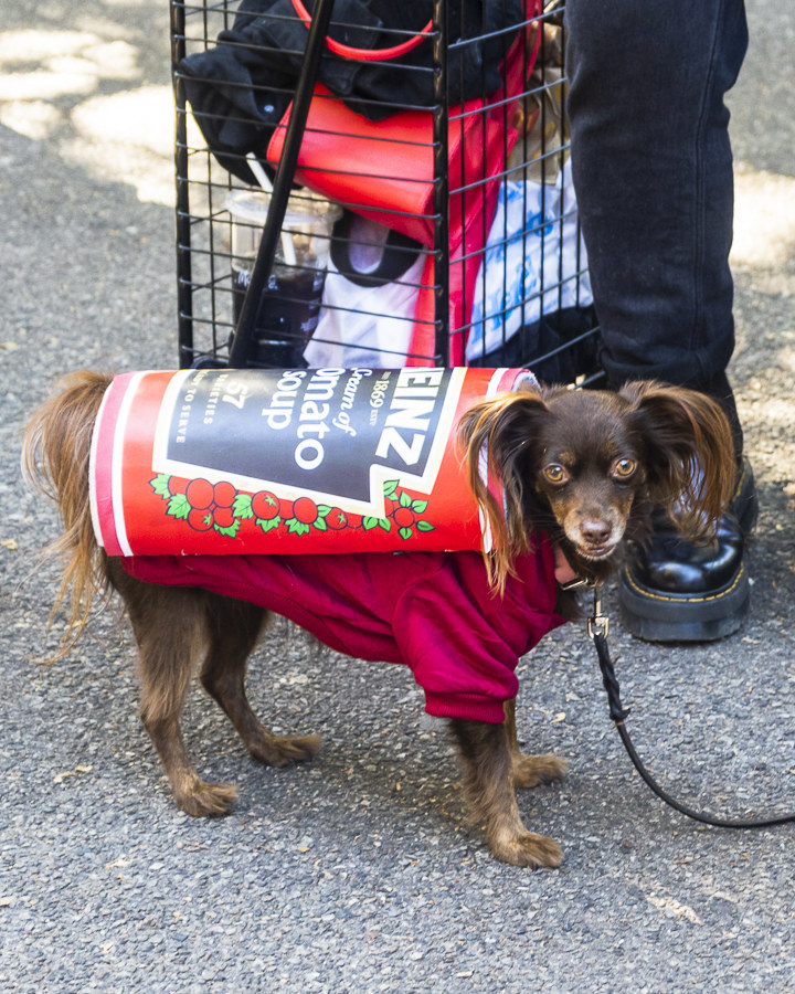 Dogs During Halloween Parade In New York City - 38