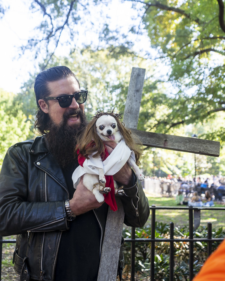 Dogs During Halloween Parade In New York City - 90