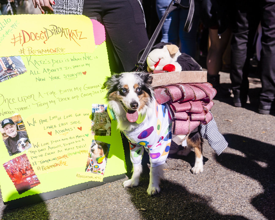 Dogs During Halloween Parade In New York City - 94