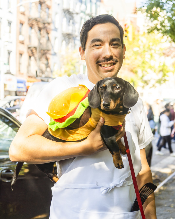 Dogs During Halloween Parade In New York City - 65