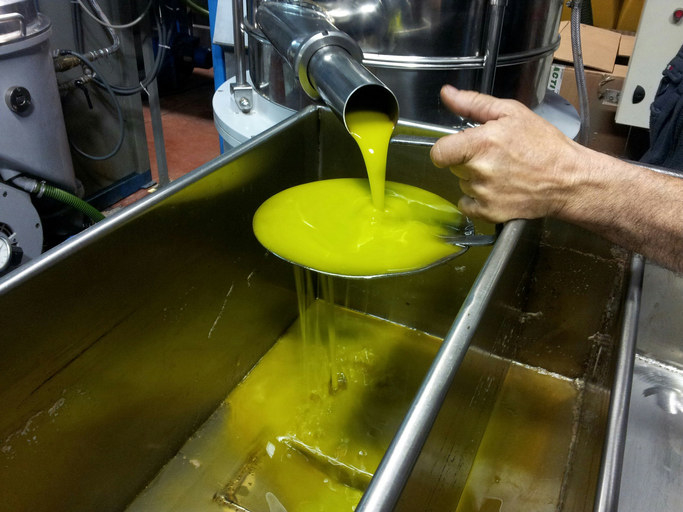 Someone pouring olive oil after processing