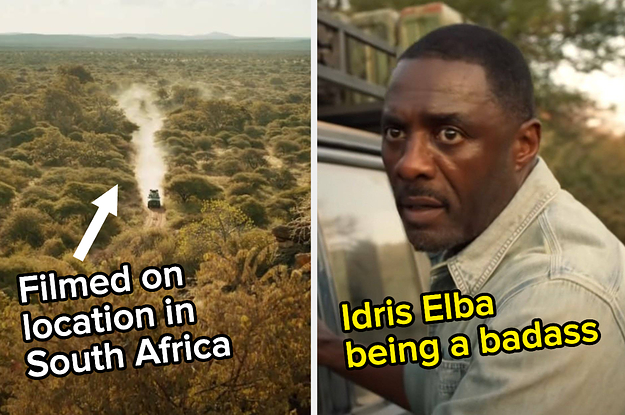 18 Reasons You Should Go Watch Idris Elba In "Beast" On Peacock Right Now