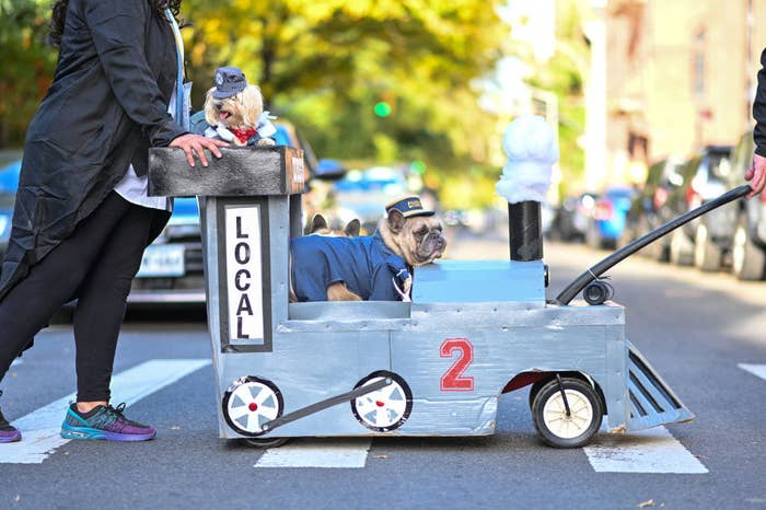 Dianne Ferrer and Tim Lawson wheel french bulldogs, Carly and Max all dressed as a train and the conductors participate in the 32nd Annual Tompkins Square Halloween Dog Parade