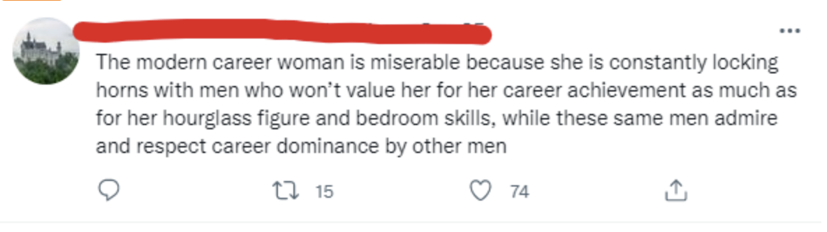 A man saying, &quot;The modern career woman is miserable&quot;