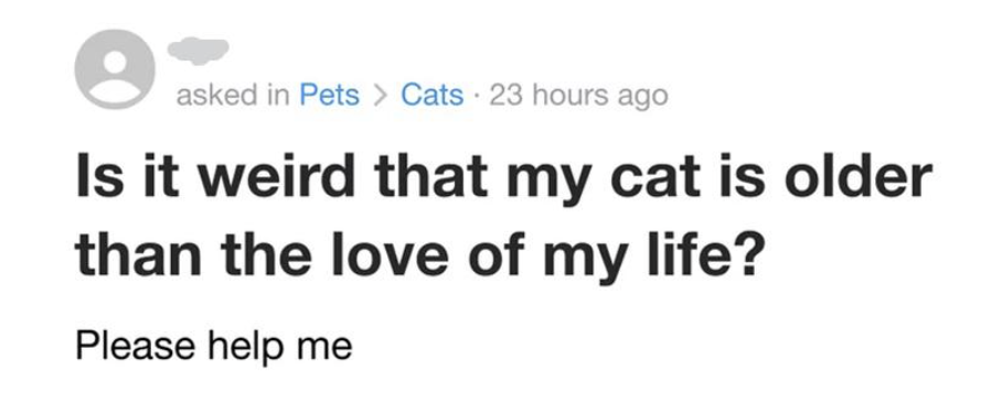 &quot;Is it weird that my cat is older than the love of my life? Please help me&quot;