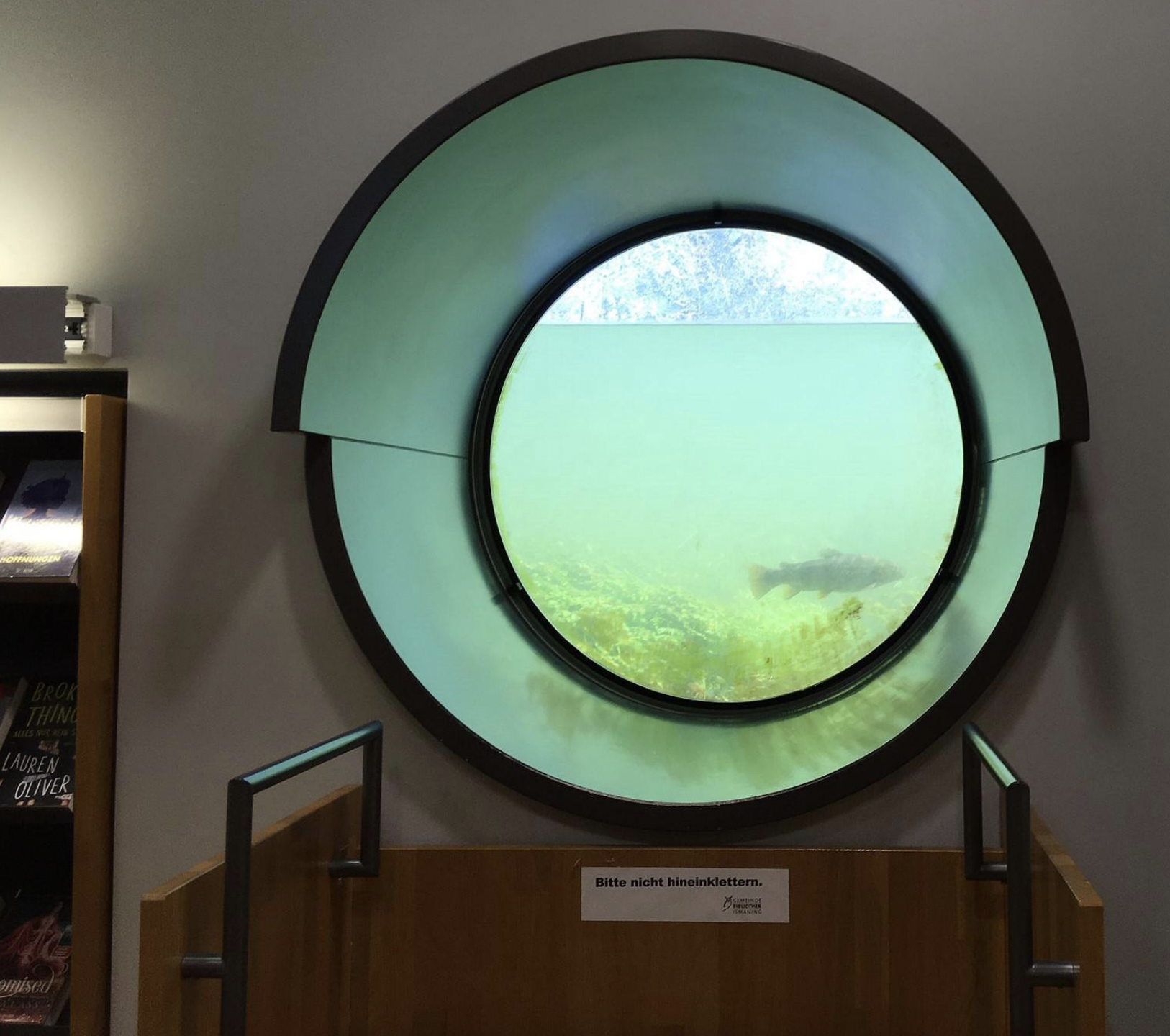 The circular window shows a fish swimming by
